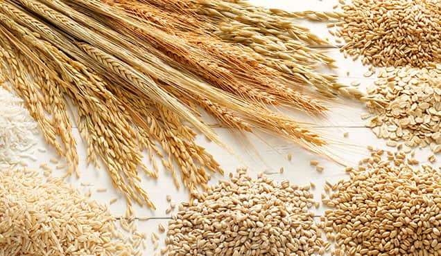 Eksportashon di grano for di Ukrania paralisá atrobe